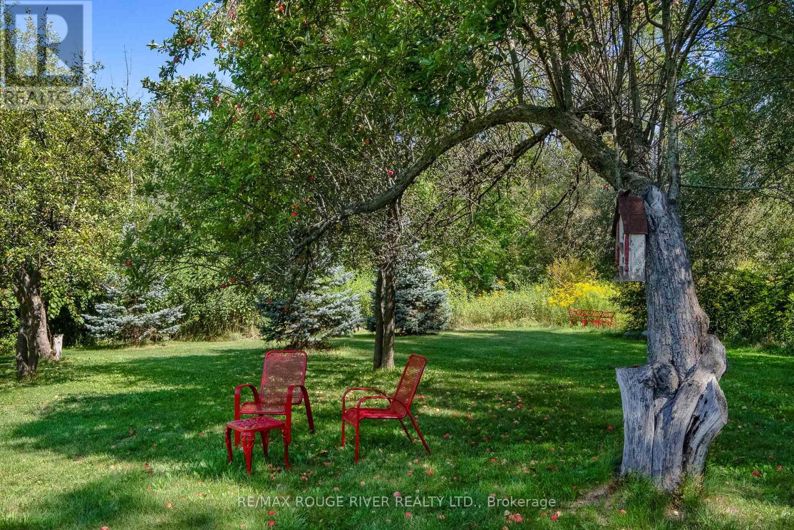 3622 Alnwick Hills Road, Hamilton Township, Ontario  K0K 1C0 - Photo 14 - X12405142