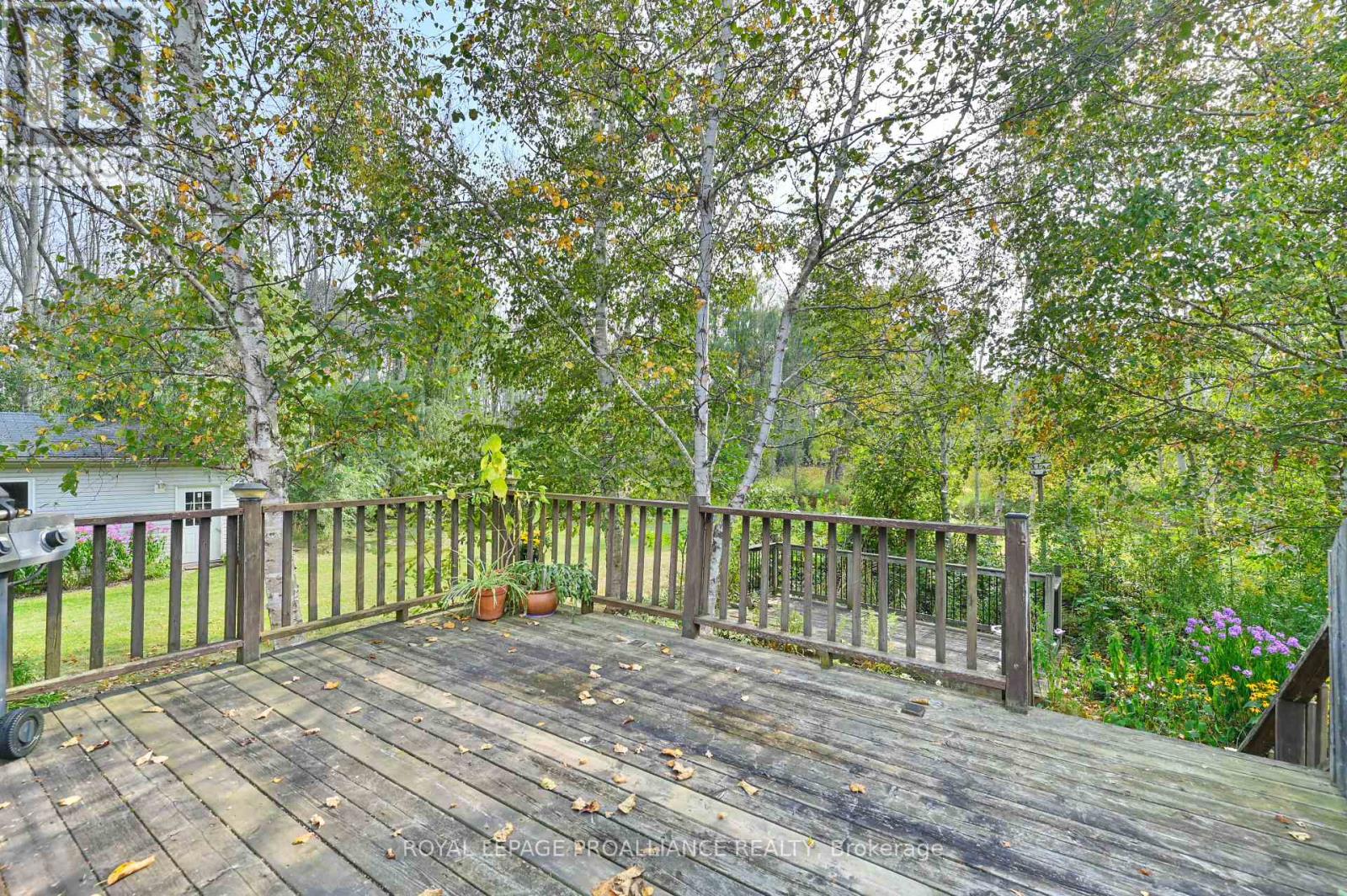21289 Loyalist Parkway, Prince Edward County, Ontario  K0K 1L0 - Photo 30 - X12415586