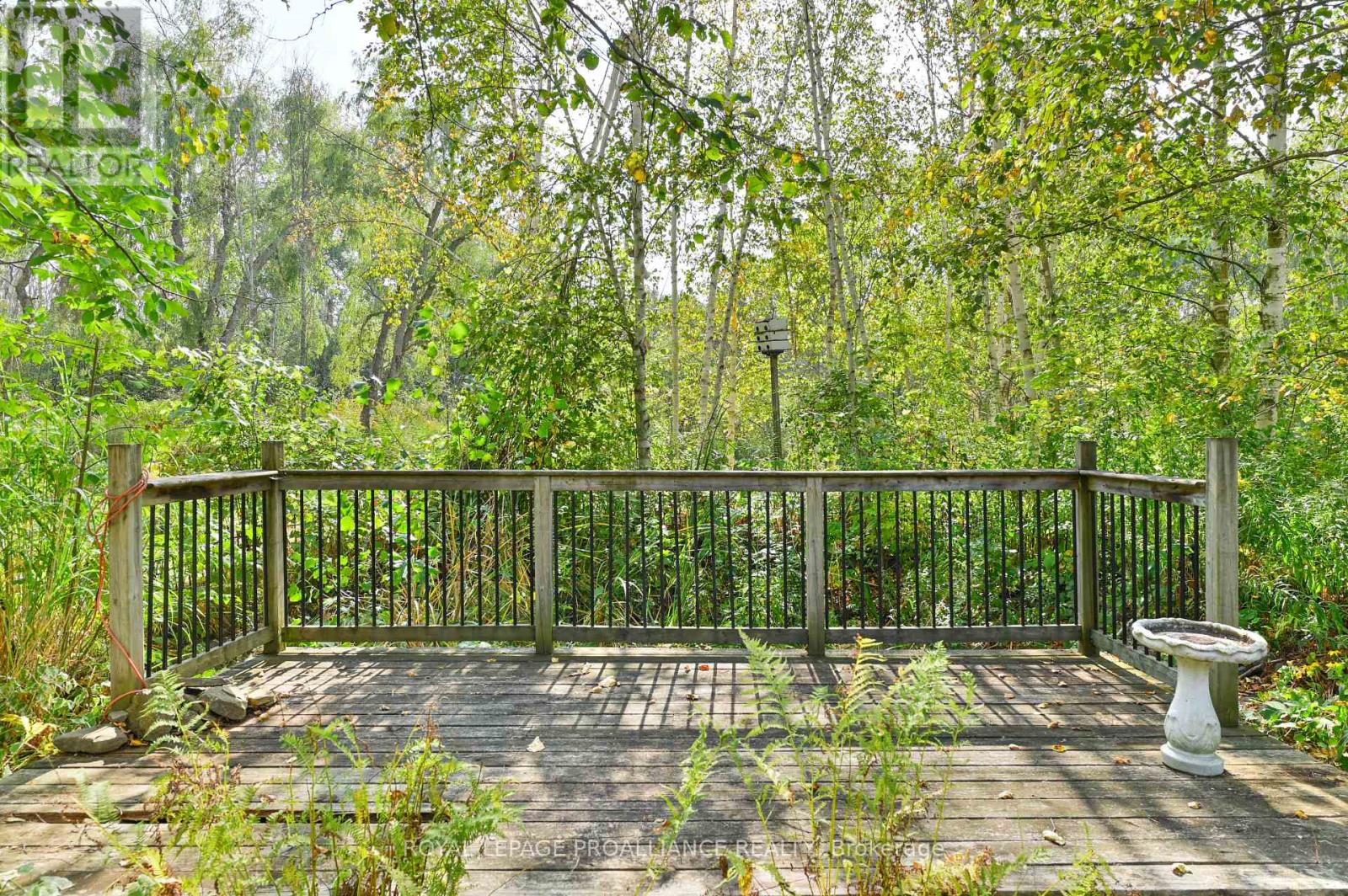 21289 Loyalist Parkway, Prince Edward County, Ontario  K0K 1L0 - Photo 33 - X12415586
