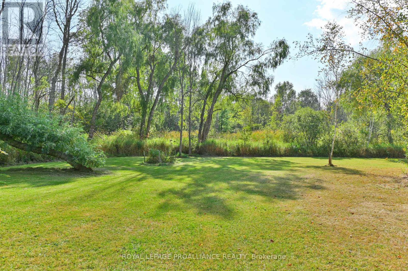 21289 Loyalist Parkway, Prince Edward County, Ontario  K0K 1L0 - Photo 38 - X12415586