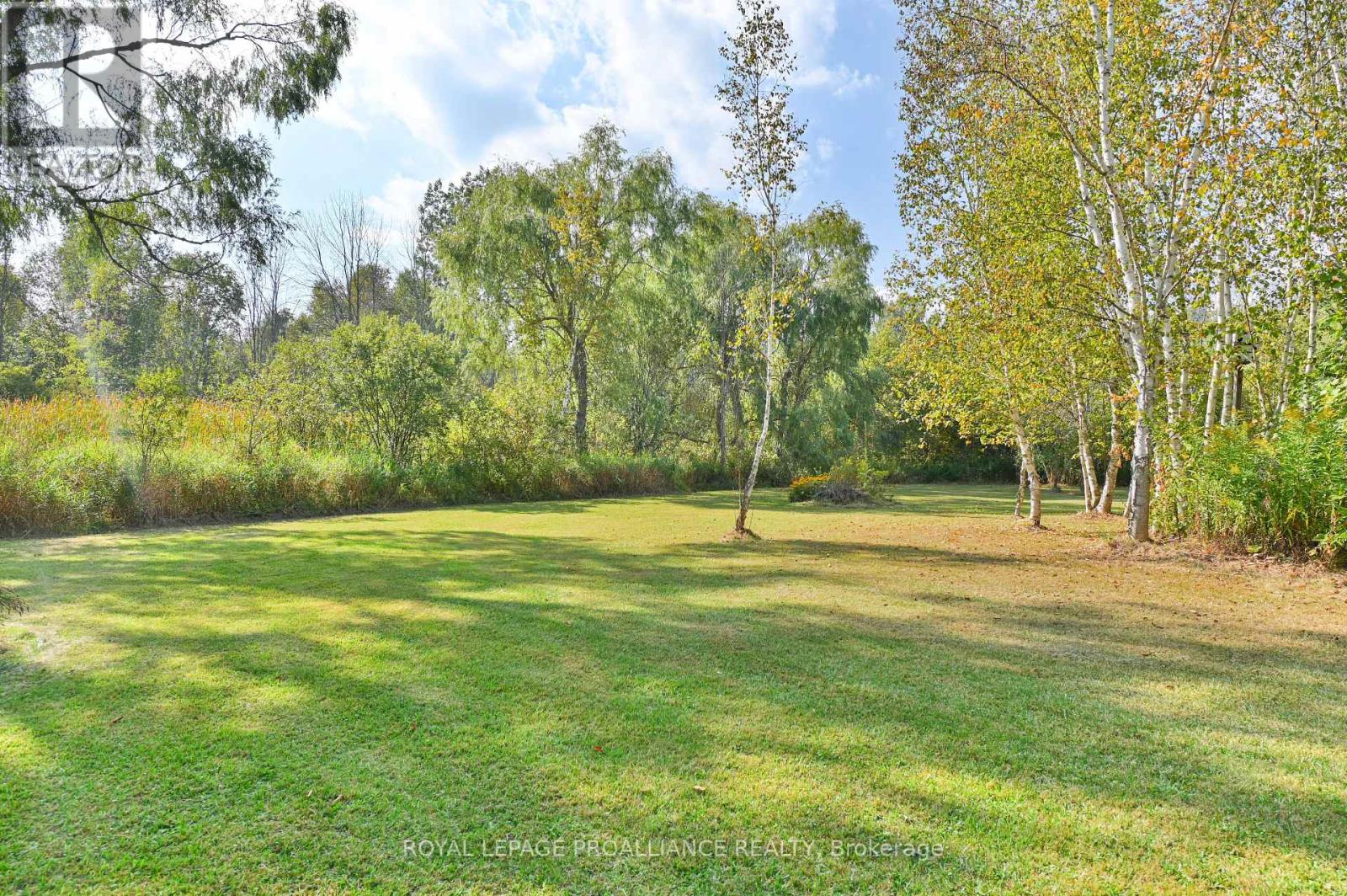 21289 Loyalist Parkway, Prince Edward County, Ontario  K0K 1L0 - Photo 39 - X12415586