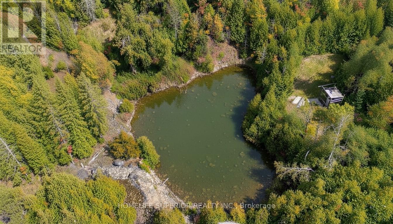 16213 Highway 62, Madoc, Ontario  K0K 1Y0 - Photo 18 - X12415650