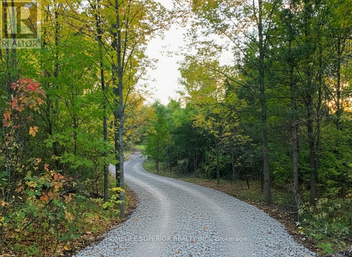 16213 Highway 62, Madoc, Ontario  K0K 1Y0 - Photo 20 - X12415650