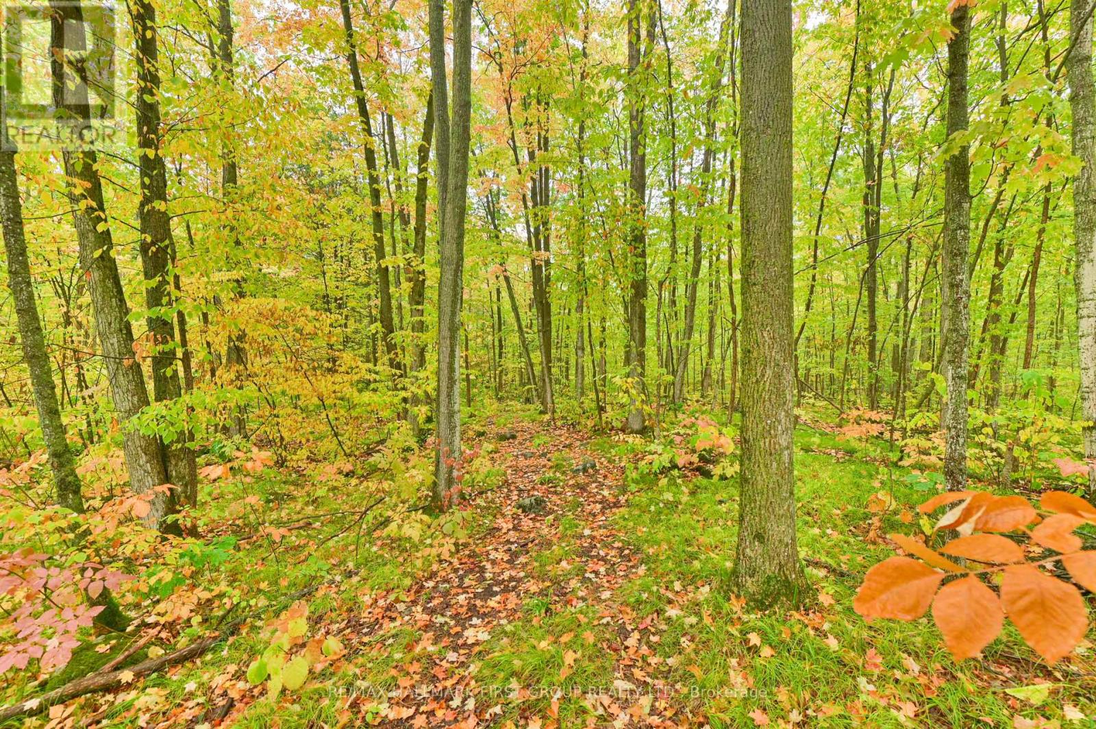 1335 Quin Mo Lac Road, Tweed, Ontario  K0K 3J0 - Photo 33 - X12421951