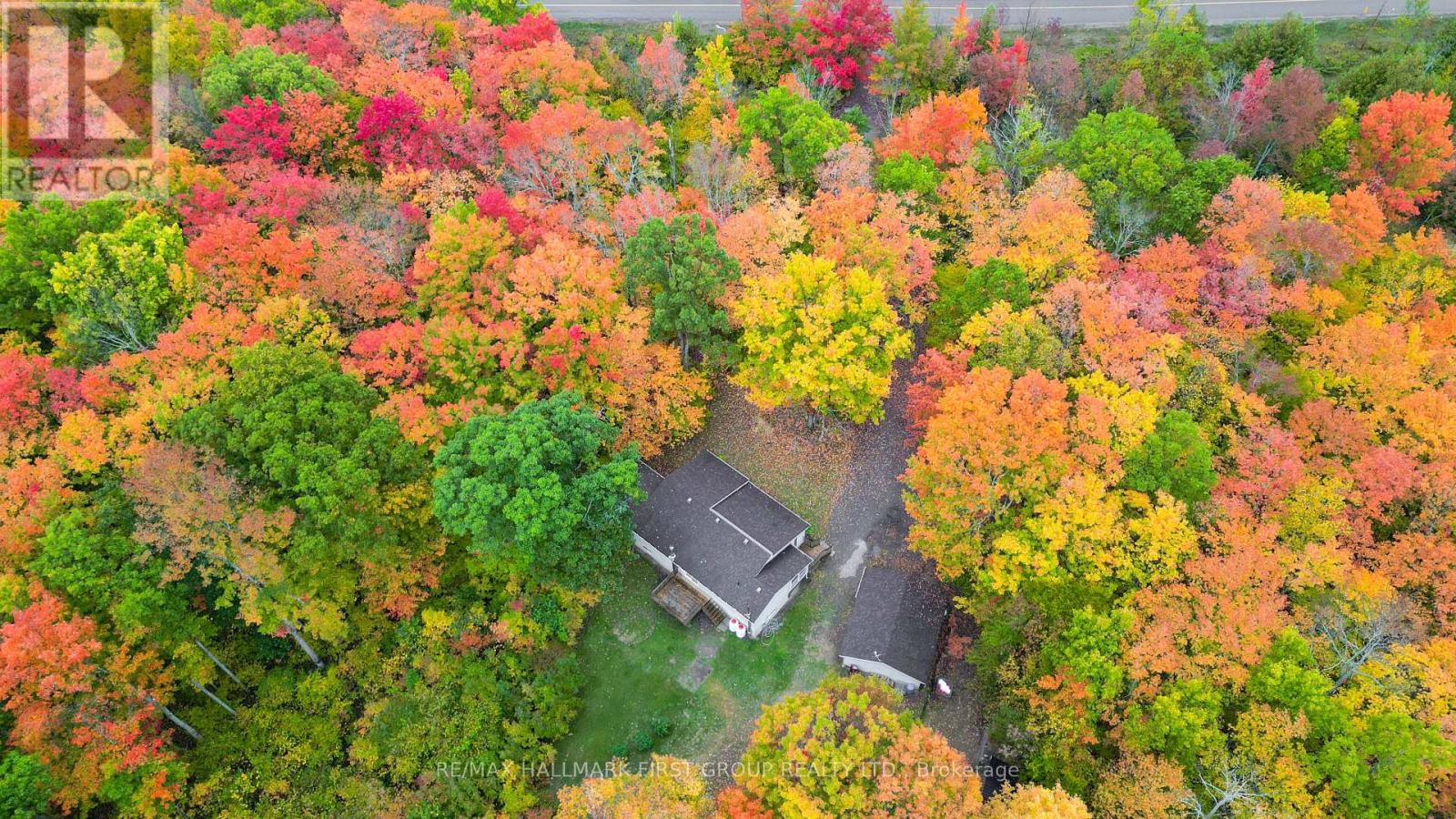 1335 Quin Mo Lac Road, Tweed, Ontario  K0K 3J0 - Photo 39 - X12421951