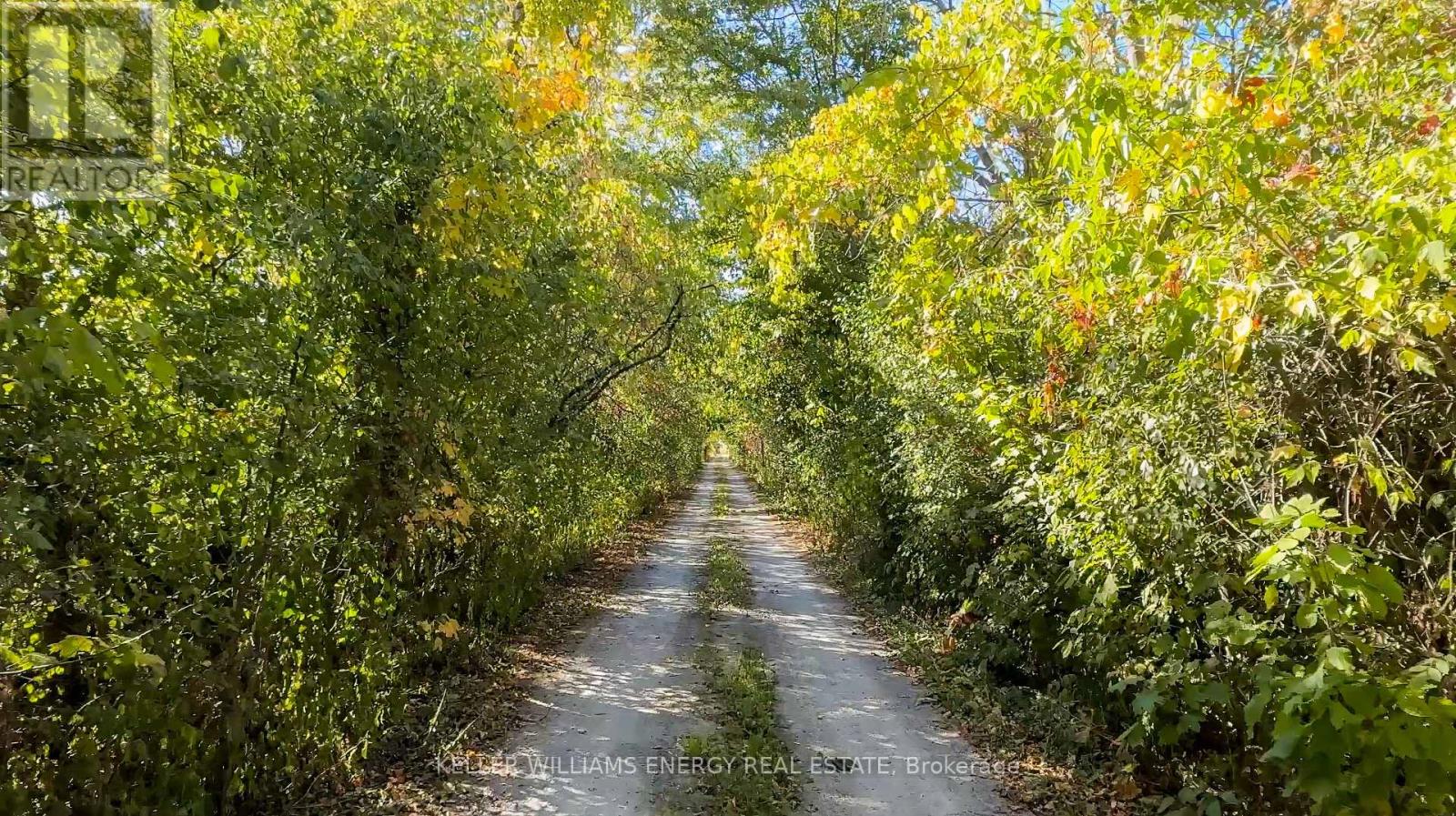 215 Fry Road, Prince Edward County, Ontario  K0K 2T0 - Photo 2 - X12423342