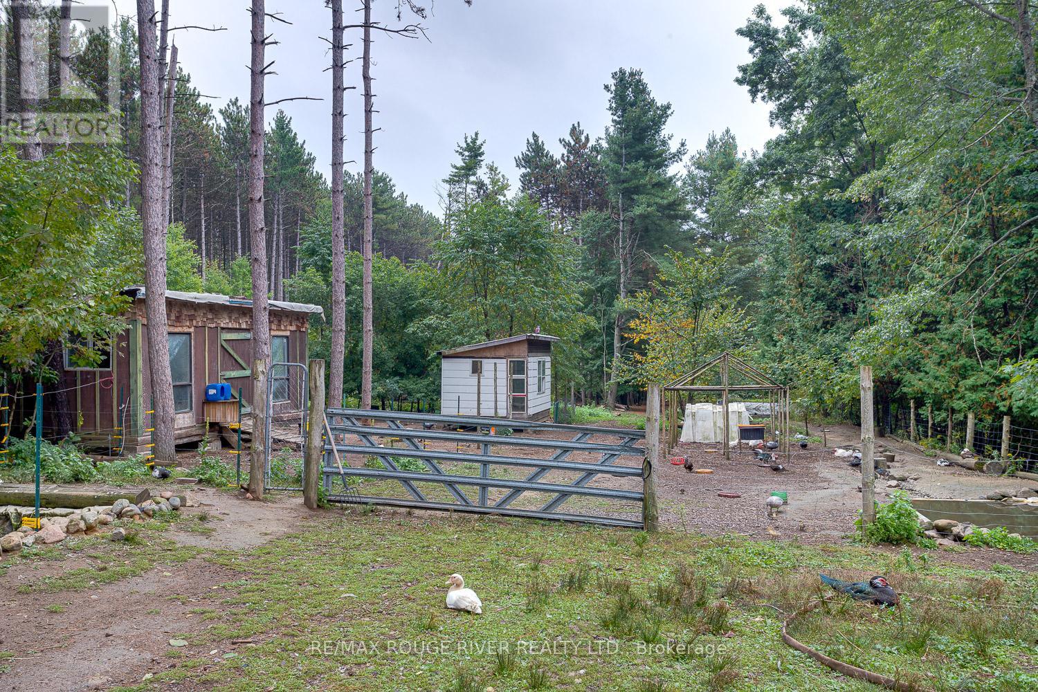 843 Eddystone Road, Alnwick/haldimand, Ontario  K0K 2G0 - Photo 12 - X12423800