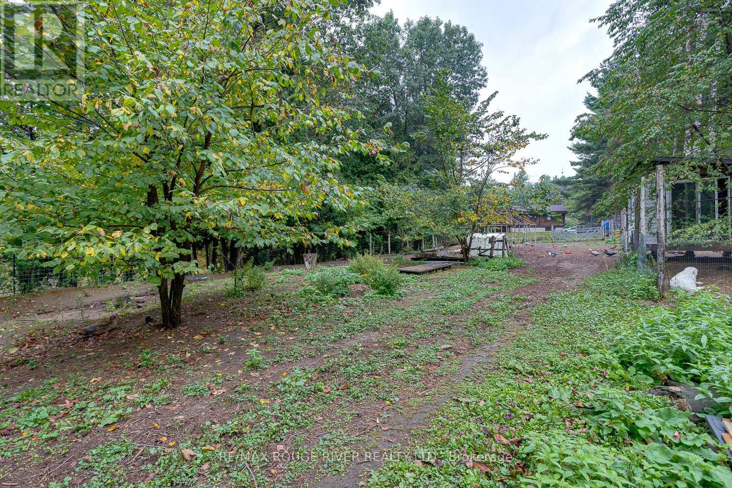 843 Eddystone Road, Alnwick/haldimand, Ontario  K0K 2G0 - Photo 15 - X12423800
