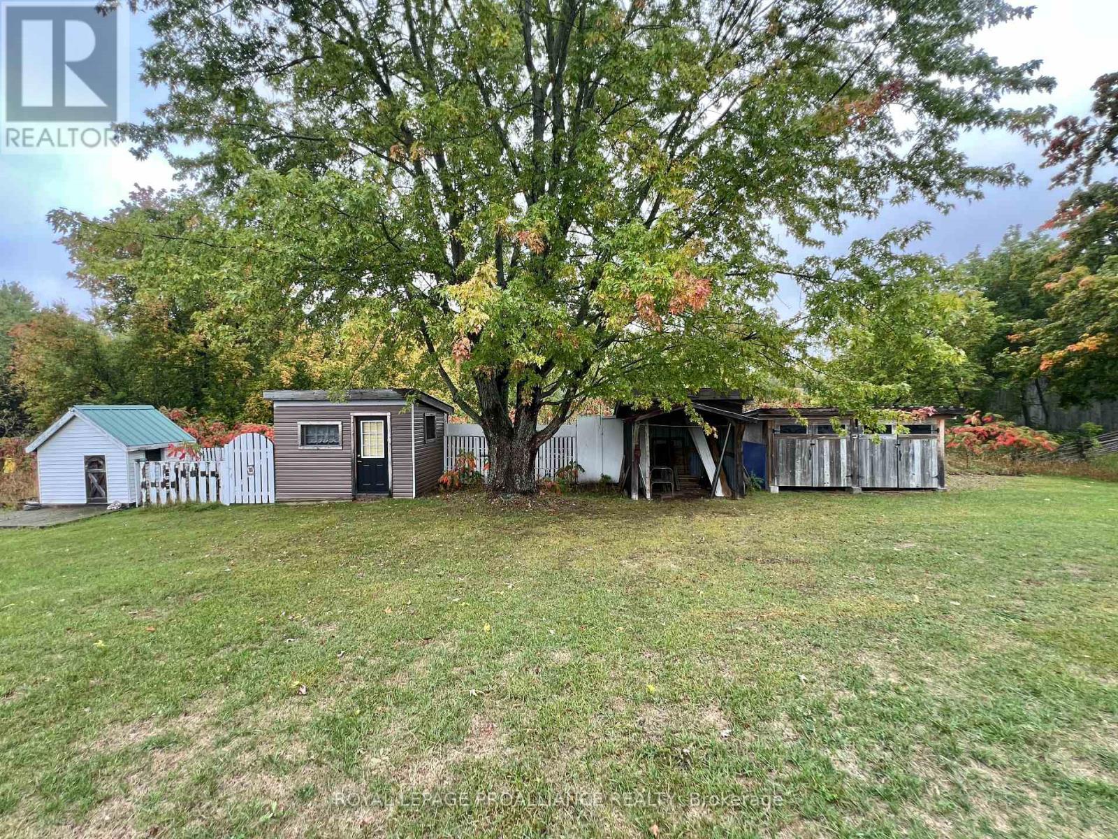310 Old Madoc Road, Belleville, Ontario  K0K 2B0 - Photo 29 - X12424091