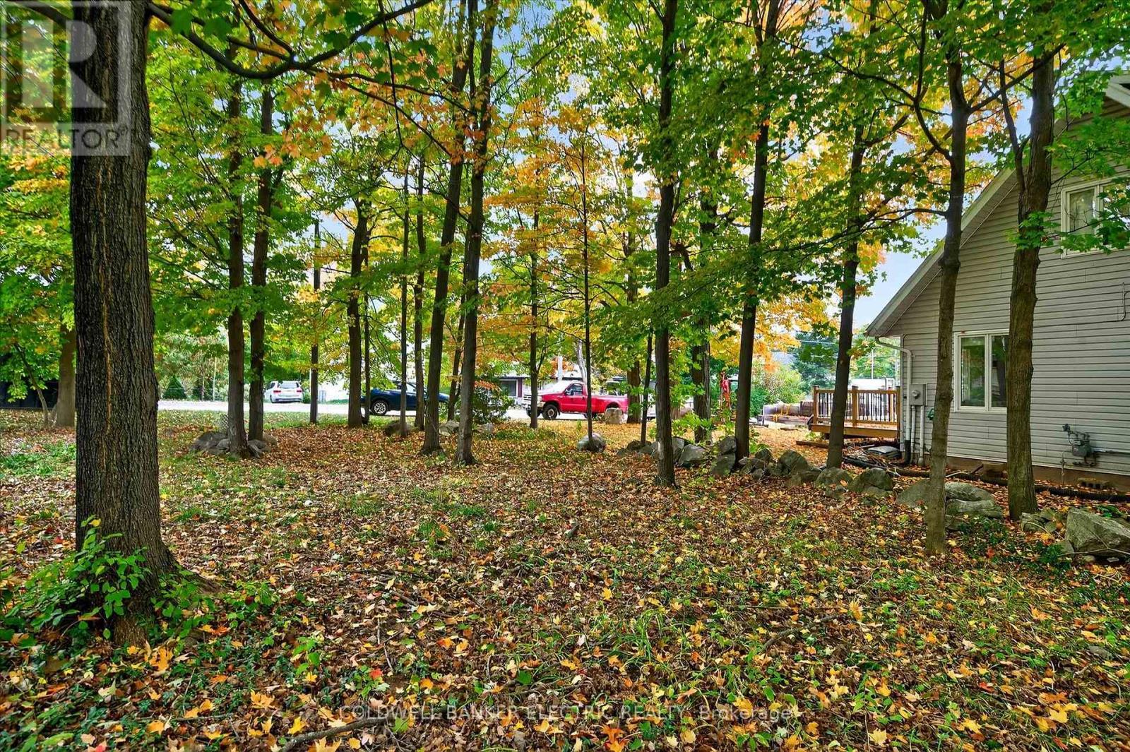42 Madoc Street, Marmora And Lake, Ontario  K0K 2M0 - Photo 34 - X12430574