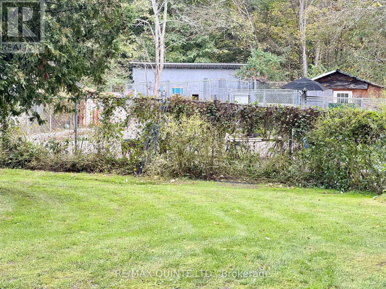 109006 Hwy 7 Highway, Tweed, Ontario  K0K 3J0 - Photo 6 - X12431528