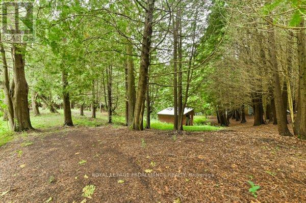 486 Waites Road, Cramahe, Ontario  K0K 1S0 - Photo 43 - X12434573