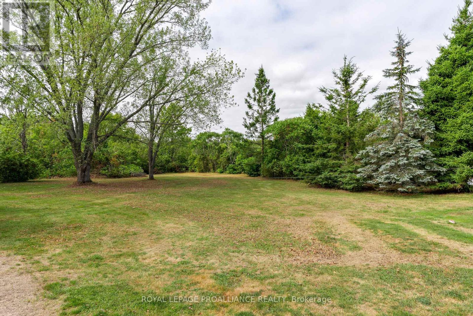 194 Crookston Road, Centre Hastings, Ontario  K0K 2K0 - Photo 29 - X12437044