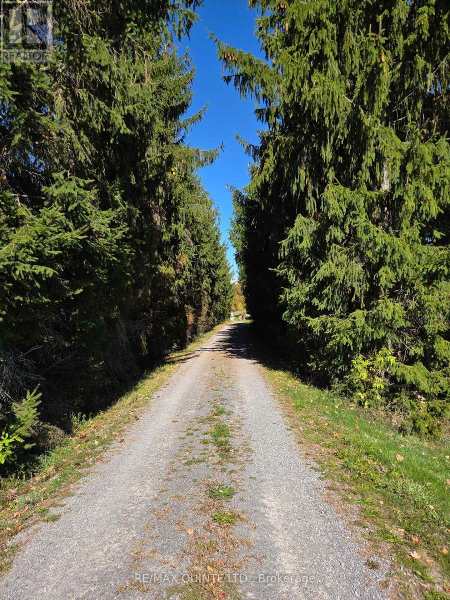 551 Marlbank Road, Tweed, Ontario  K0K 3J0 - Photo 31 - X12450063