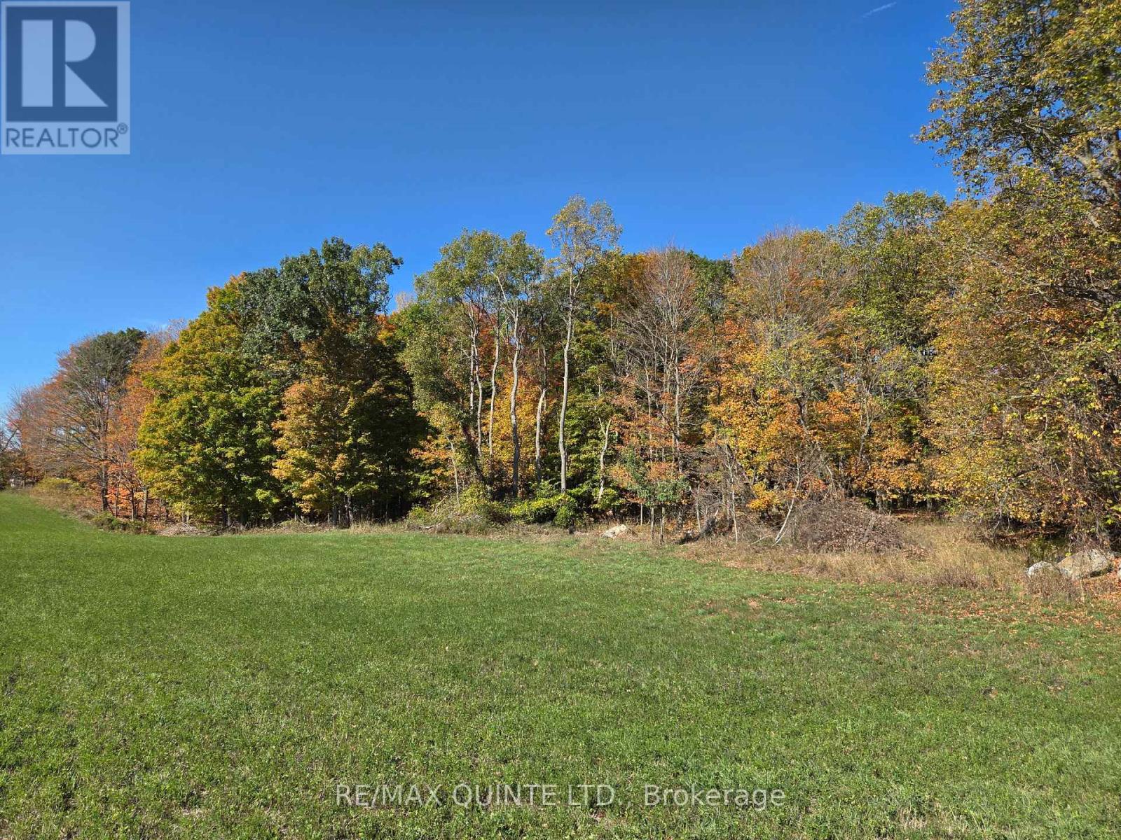 551 Marlbank Road, Tweed, Ontario  K0K 3J0 - Photo 45 - X12450063