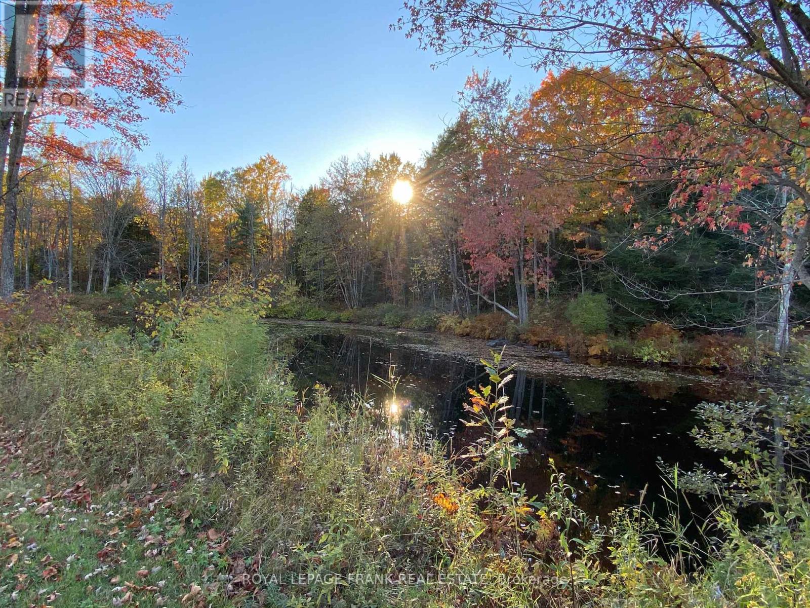 25c Forbes Road, Tweed, Ontario  K0K 2K0 - Photo 35 - X12456988