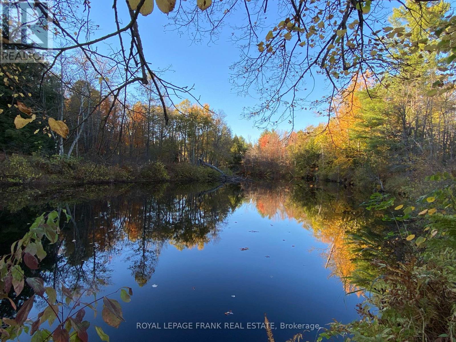 25c Forbes Road, Tweed, Ontario  K0K 2K0 - Photo 36 - X12456988