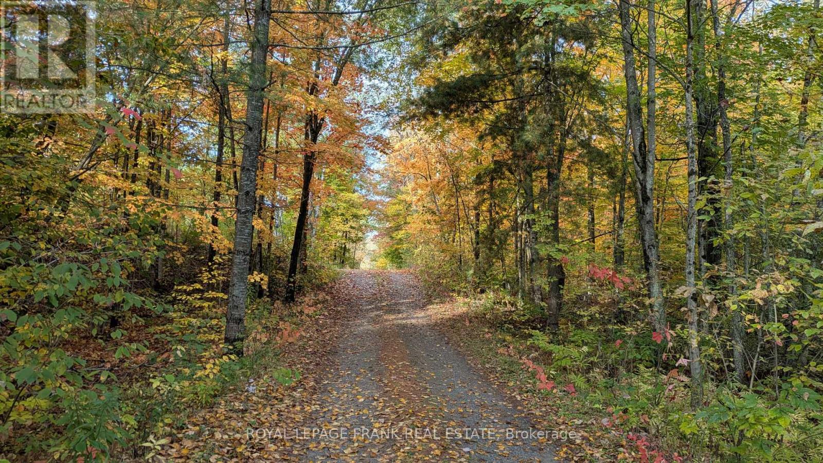 25c Forbes Road, Tweed, Ontario  K0K 2K0 - Photo 38 - X12456988