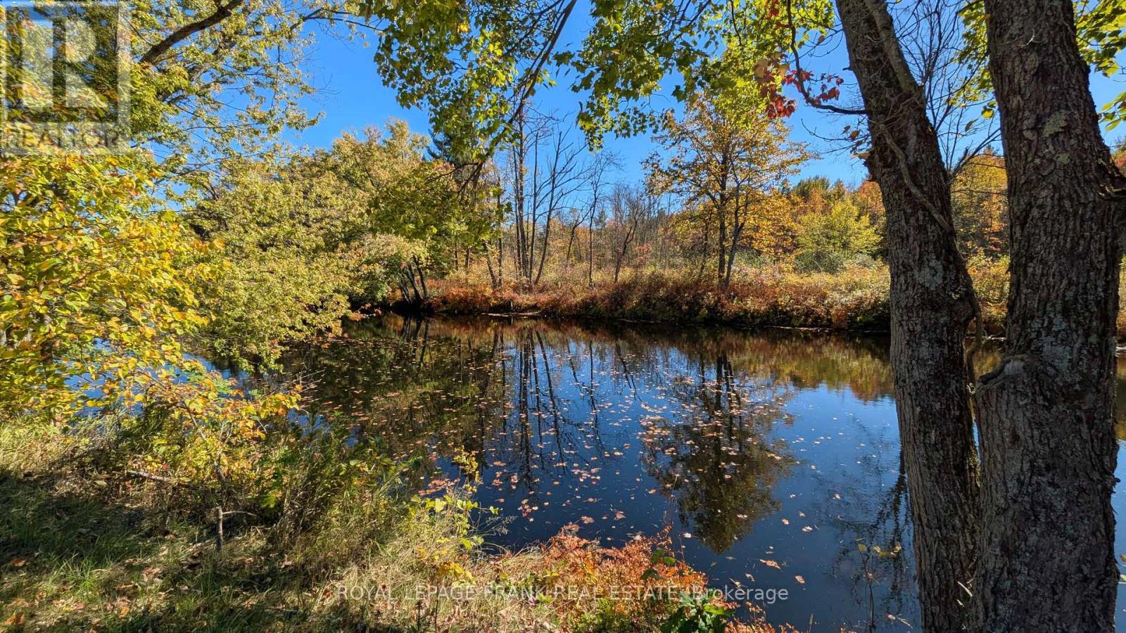 25c Forbes Road, Tweed, Ontario  K0K 2K0 - Photo 42 - X12456988