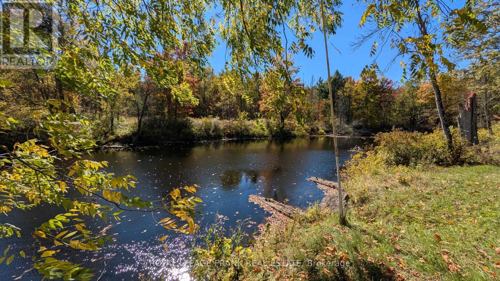 25c Forbes Road, Tweed, Ontario  K0K 2K0 - Photo 44 - X12456988