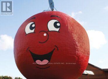 25 King Street W, Cramahe, Ontario  K0K 1S0 - Photo 36 - X12460259