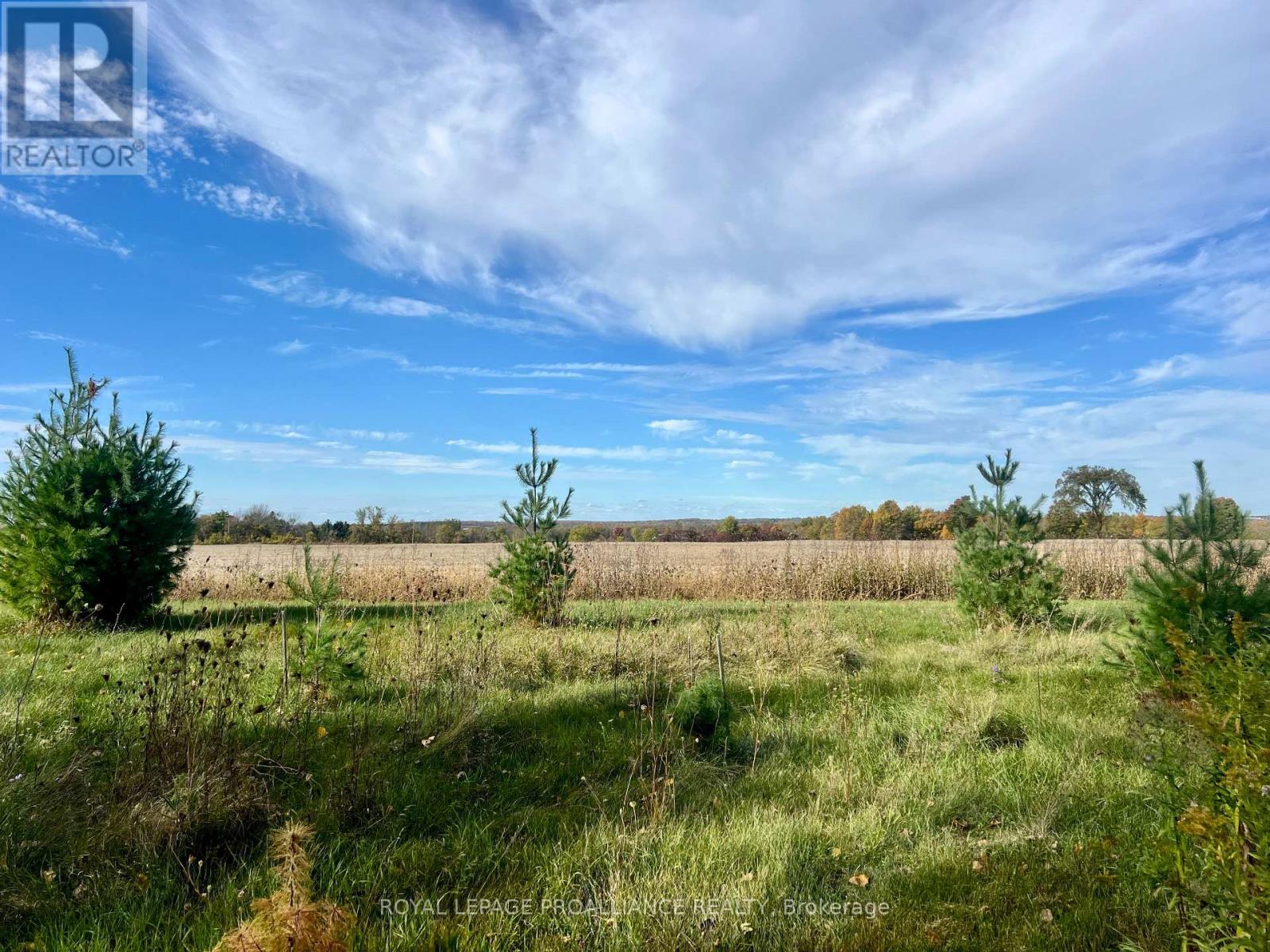 41 Sills Road, Centre Hastings, Ontario  K0K 3E0 - Photo 22 - X12460659