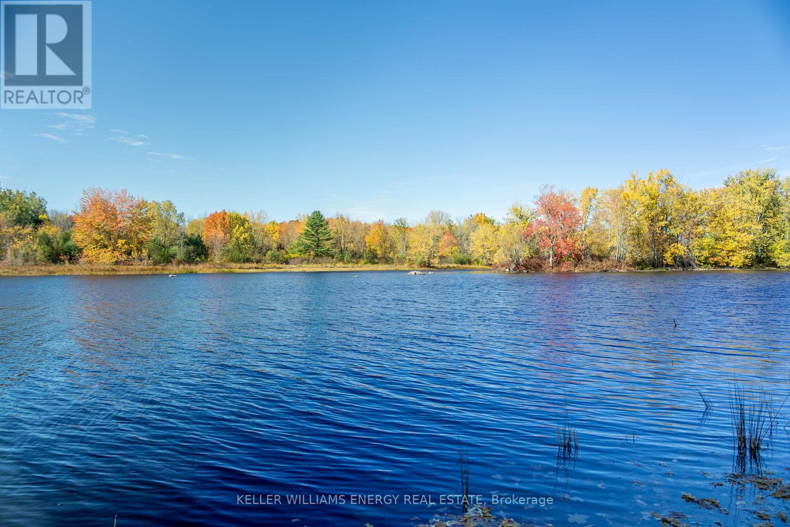 141 Stoco Road, Tweed, Ontario  K0K 3J0 - Photo 15 - X12467186