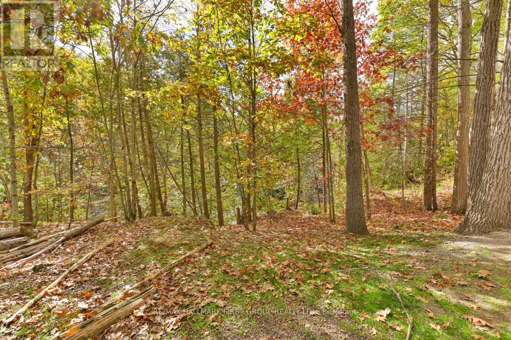 74 Cottage Lane, Tweed, Ontario  K0K 3J0 - Photo 41 - X12468553