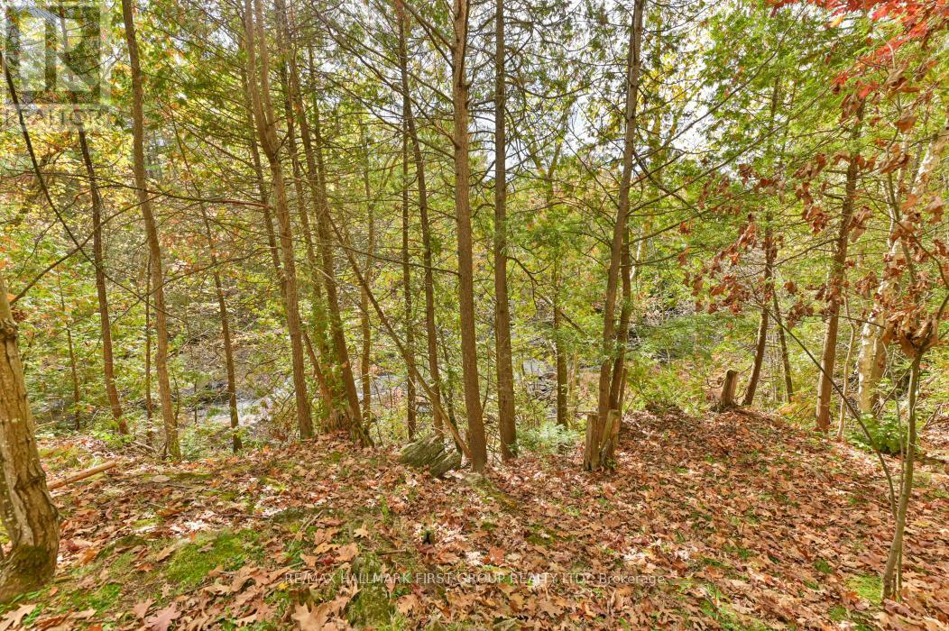 74 Cottage Lane, Tweed, Ontario  K0K 3J0 - Photo 43 - X12468553