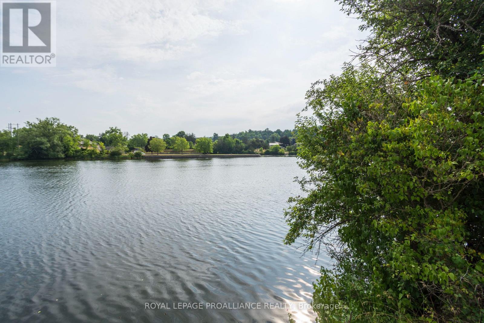 113 South Trent Street, Quinte West, Ontario  K0K 2C0 - Photo 34 - X12470314