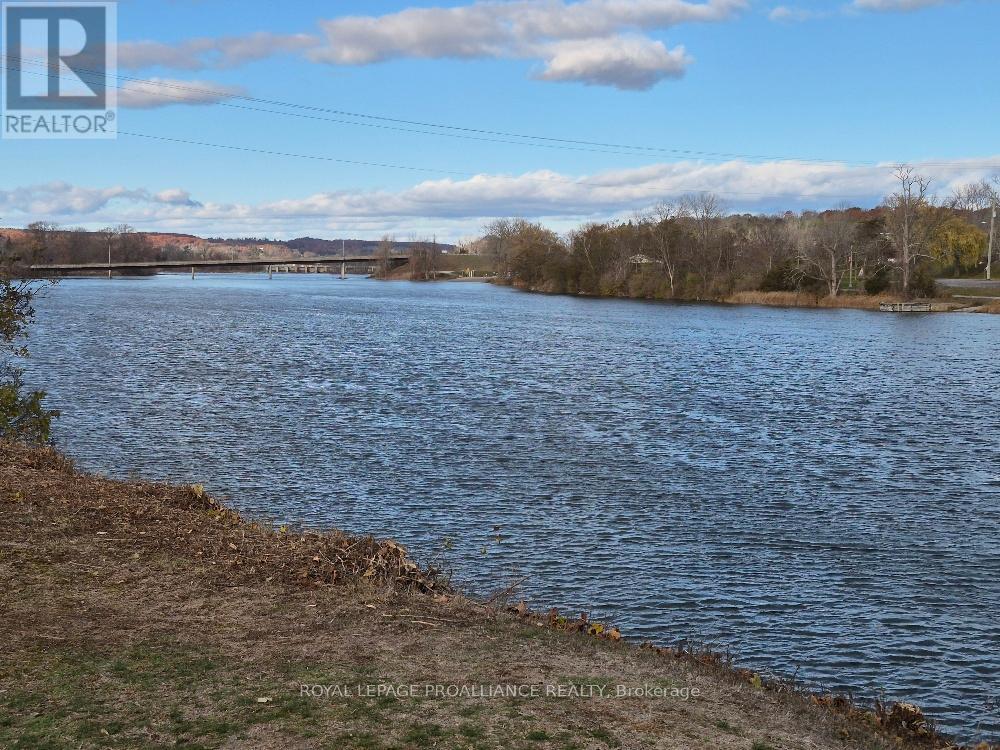 113 South Trent Street, Quinte West, Ontario  K0K 2C0 - Photo 35 - X12470314