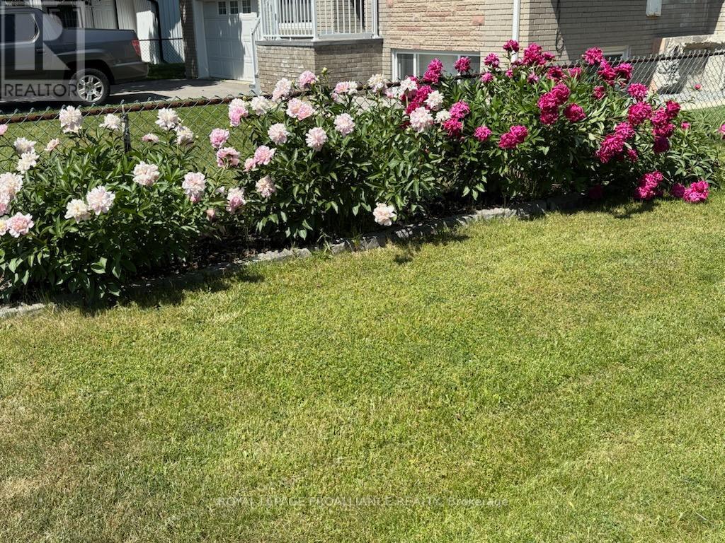 113 South Trent Street, Quinte West, Ontario  K0K 2C0 - Photo 46 - X12470314