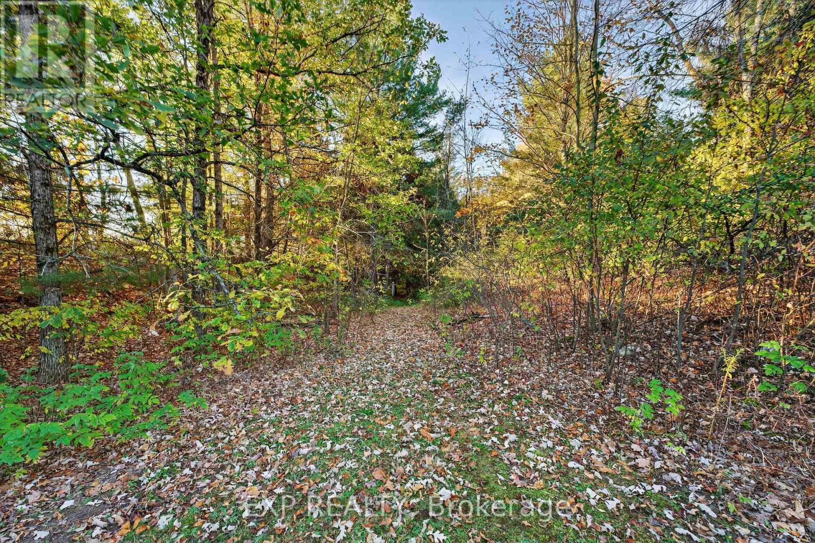 225 Woodcock's Mills Road, Stone Mills, Ontario  K0K 3G0 - Photo 38 - X12476592