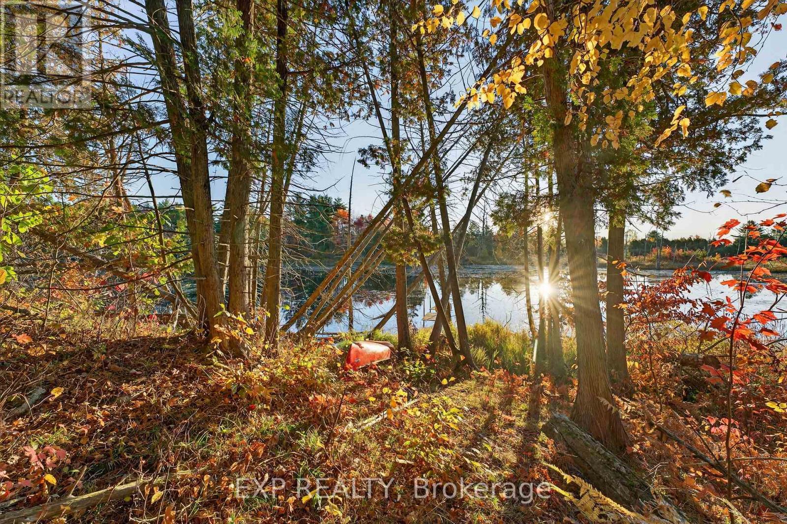 225 Woodcock's Mills Road, Stone Mills, Ontario  K0K 3G0 - Photo 39 - X12476592