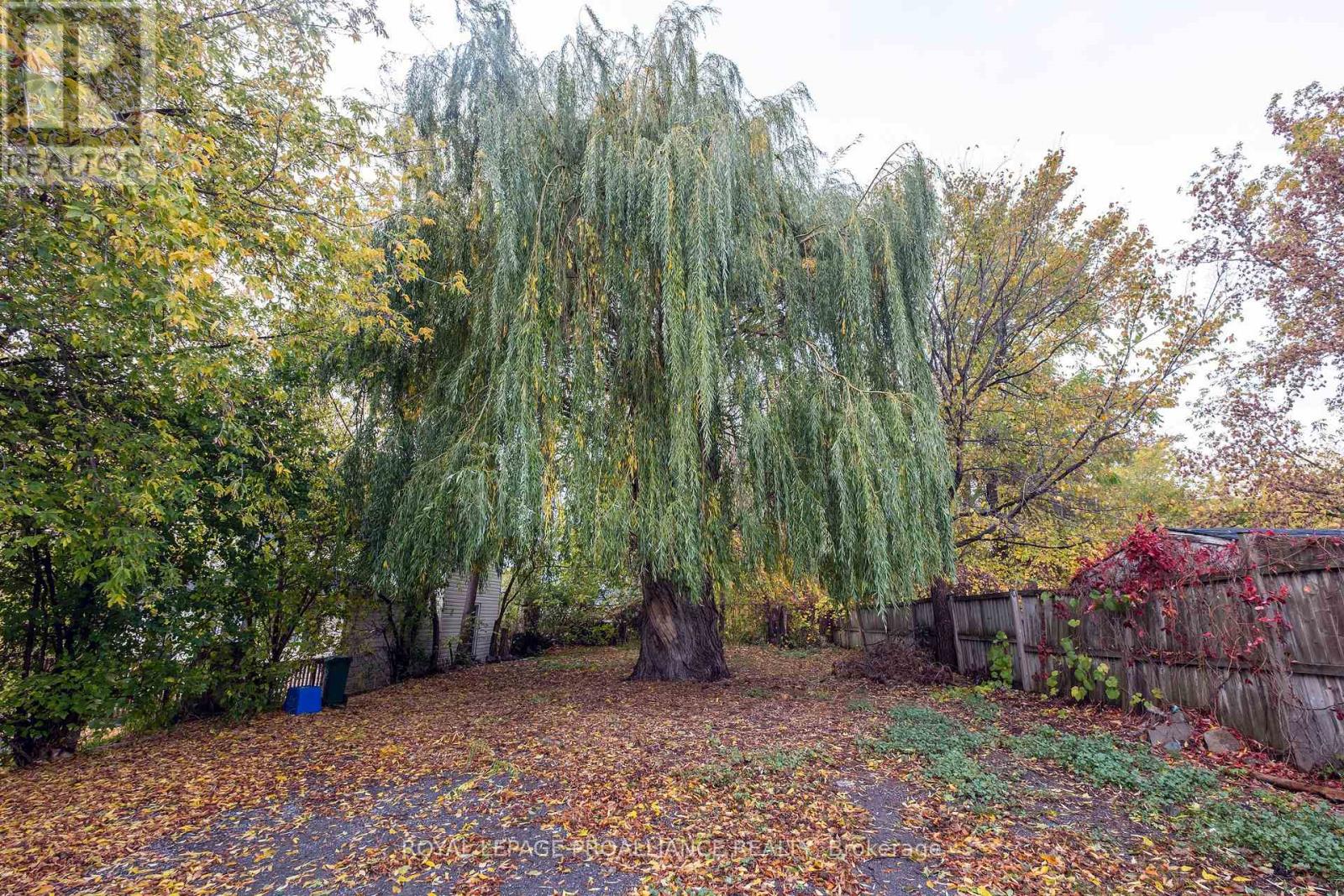 90 Dundas Street E, Belleville, Ontario  K8N 1C1 - Photo 31 - X12480290