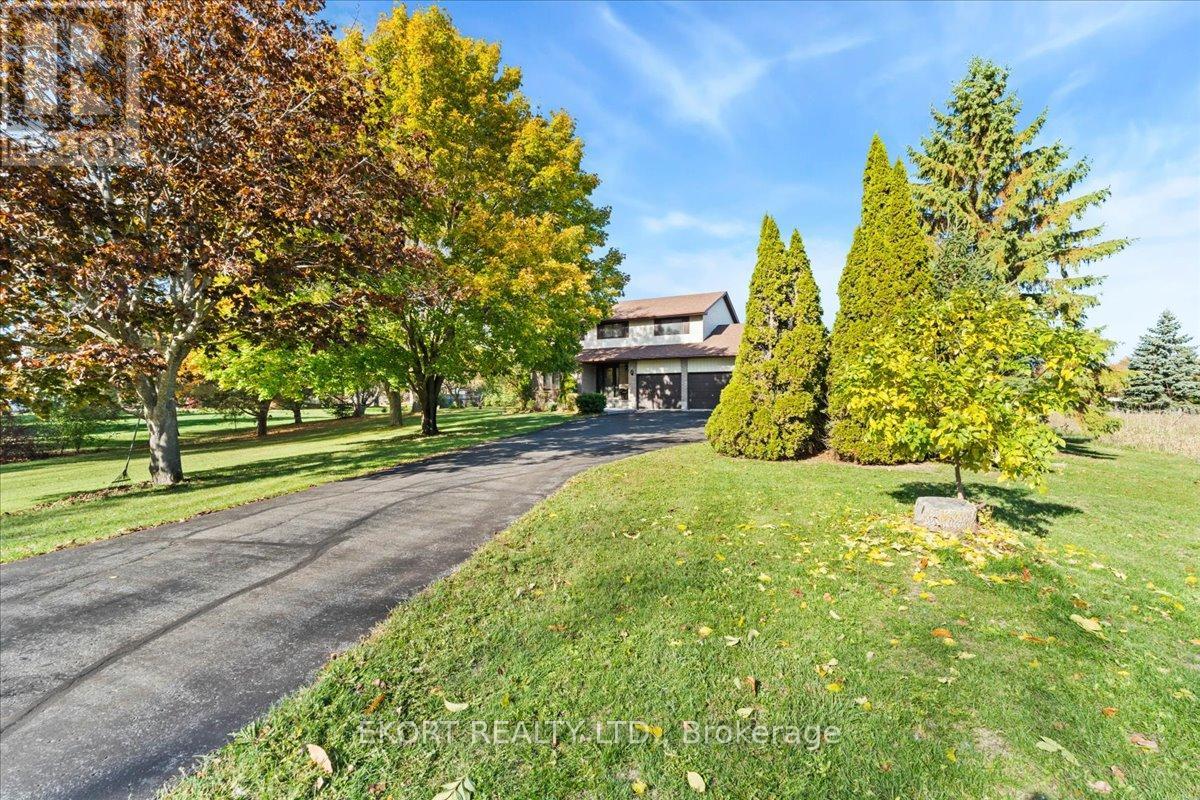 175 Old Kingston Road, Belleville, Ontario  K8N 4Z4 - Photo 5 - X12491898