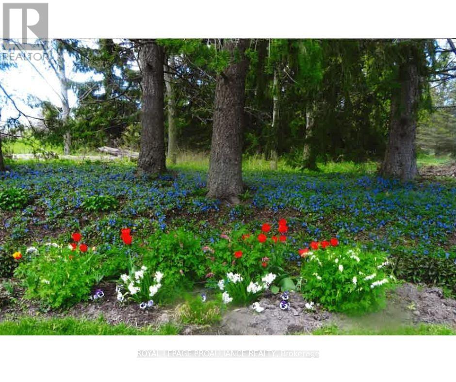 7 North Drive, Brighton, Ontario  K0K 1H0 - Photo 7 - X12512252