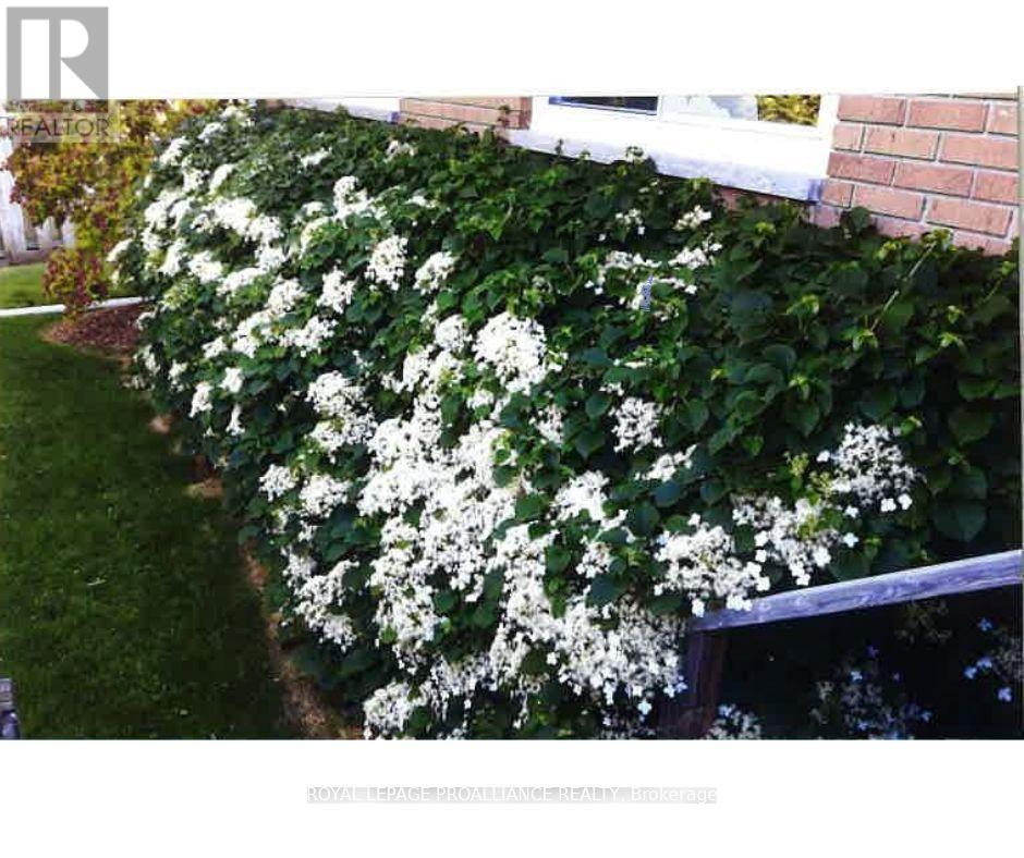 7 North Drive, Brighton, Ontario  K0K 1H0 - Photo 8 - X12512252