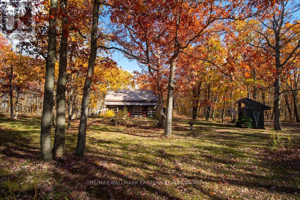 371-B Godolphin Road, Trent Hills, Ontario  K0K 3K0 - Photo 46 - X12512994