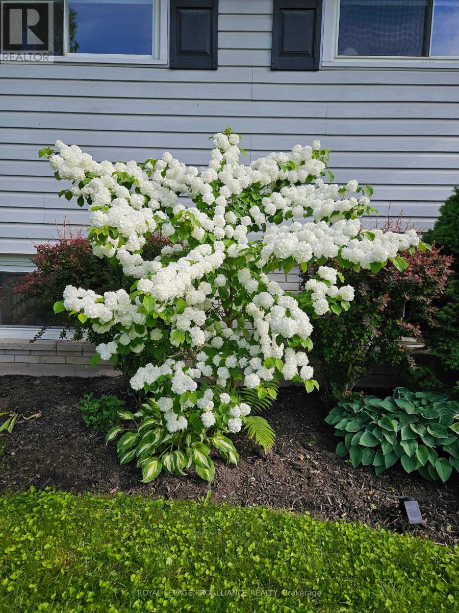 11 Stavebank Road, Belleville, Ontario  K8P 2N7 - Photo 25 - X12513568