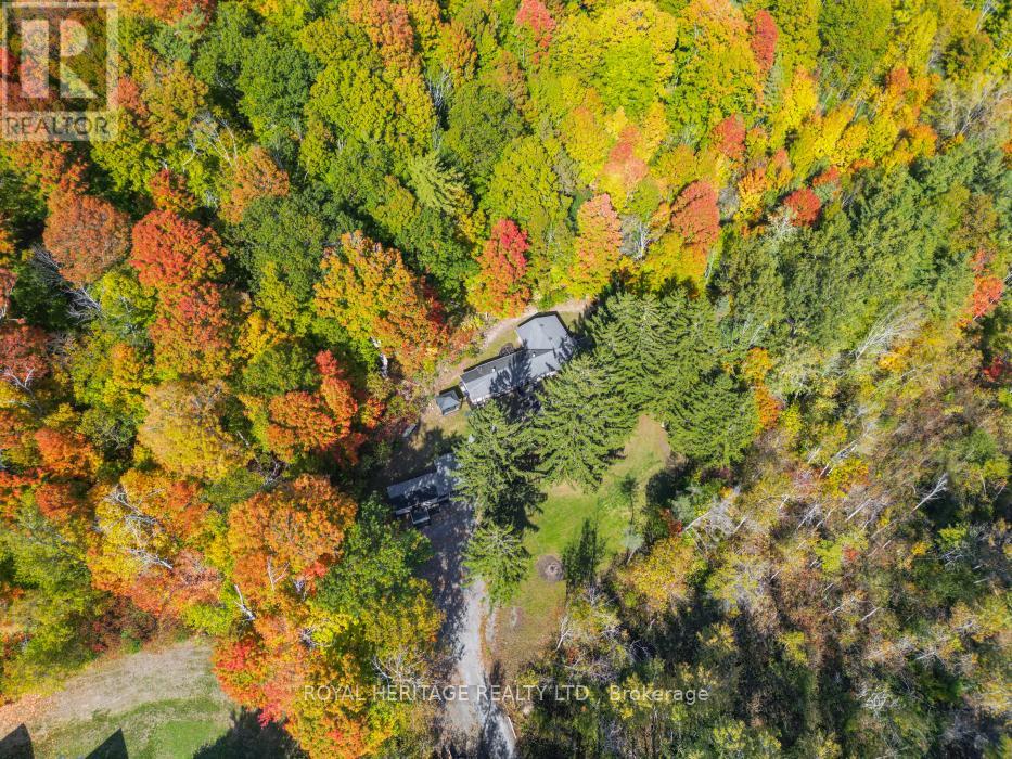 15354 County Road 2 Road, Brighton, Ontario  K0K 1H0 - Photo 35 - X12518546