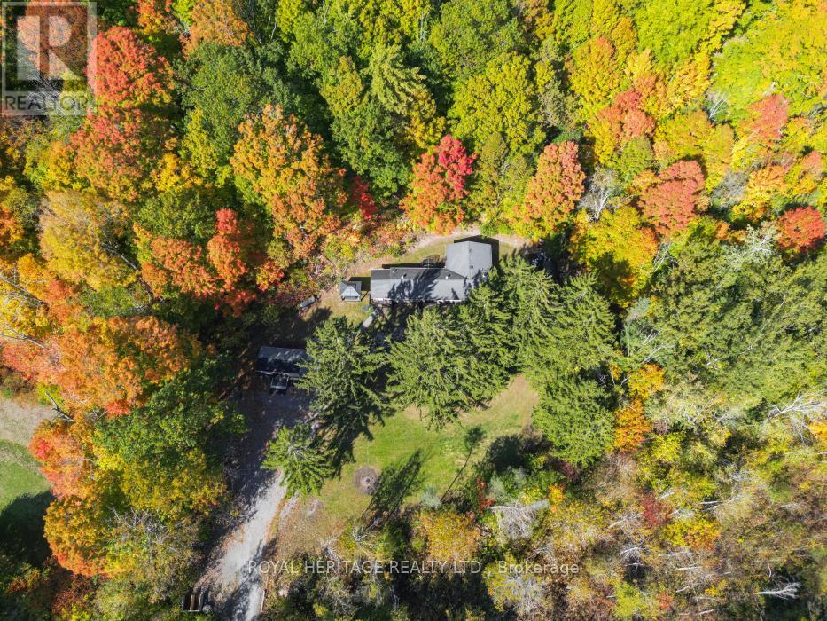 15354 County Road 2 Road, Brighton, Ontario  K0K 1H0 - Photo 36 - X12518546