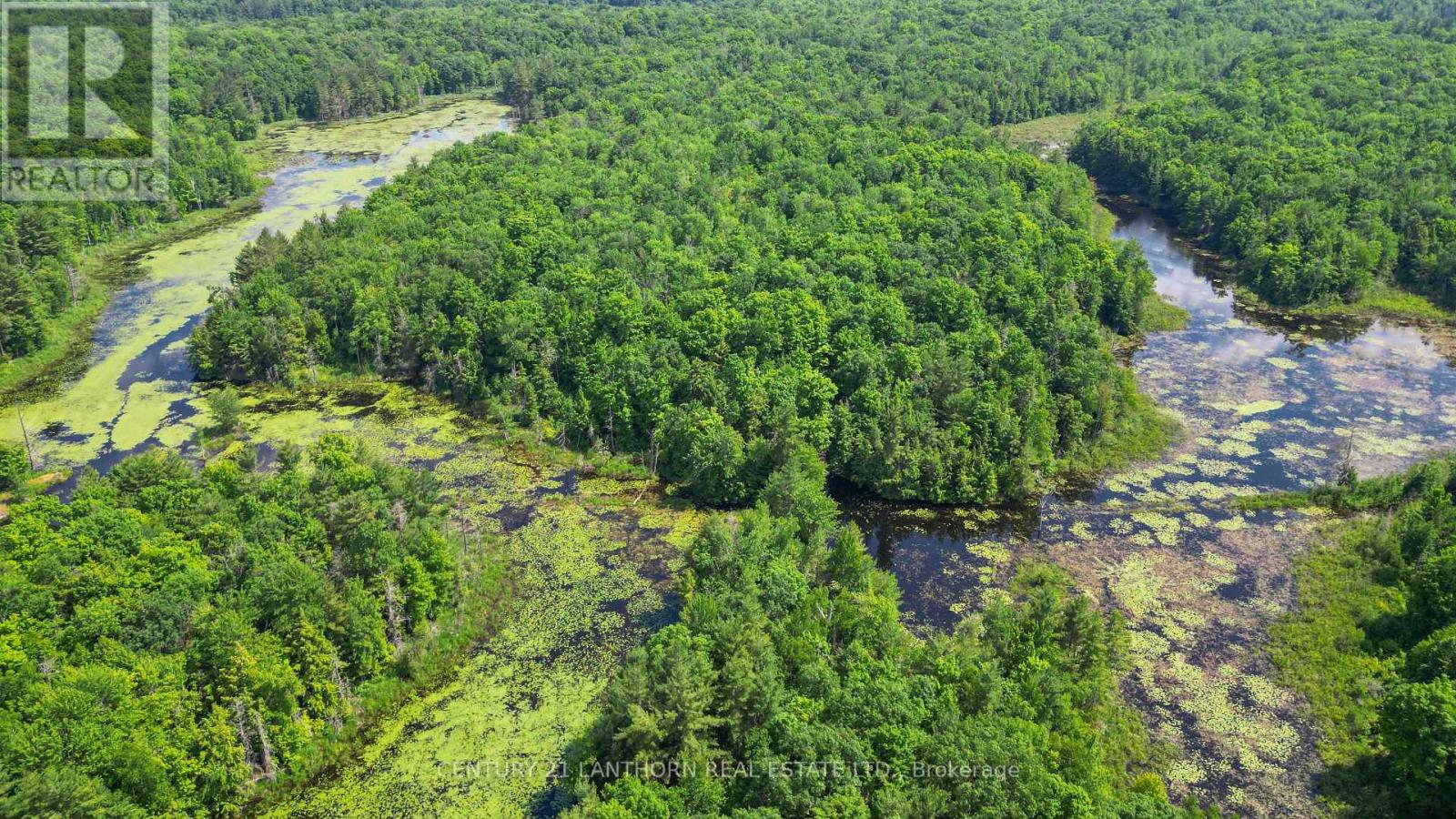 932 Hunt Club Road, Madoc, Ontario  K0K 2K0 - Photo 46 - X12520944