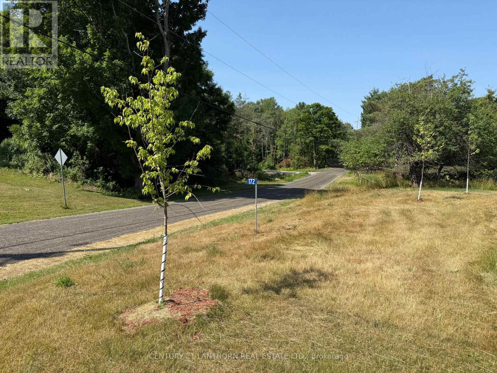 172 Black River Road, Tweed, Ontario  K0K 3J0 - Photo 36 - X12529394