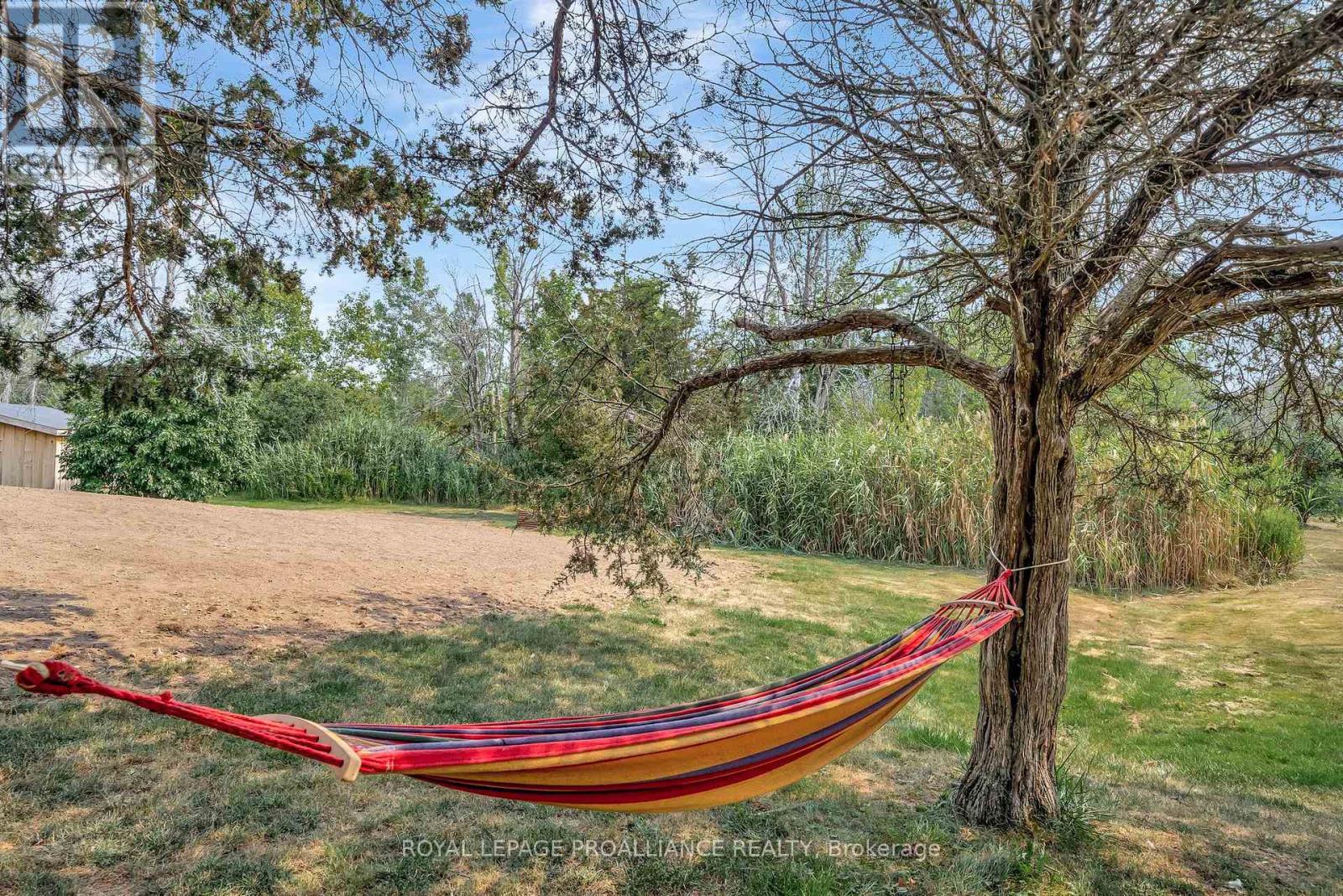 206 Elmwood Drive, Belleville, Ontario  K8N 4Z4 - Photo 42 - X12541850