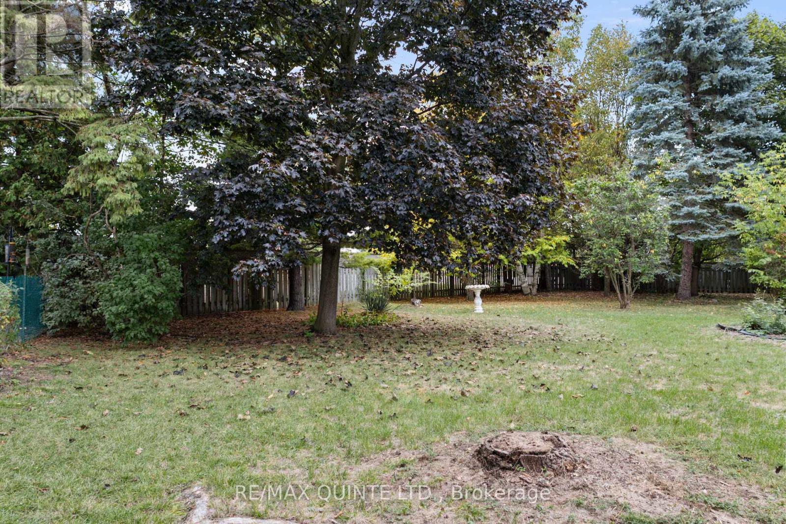 134 Hastings Drive, Belleville, Ontario  K8N 1J5 - Photo 8 - X12546706