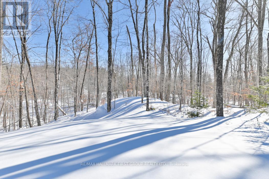 1571 Cordova Road, Marmora And Lake, Ontario  K0K 2M0 - Photo 49 - X12557338