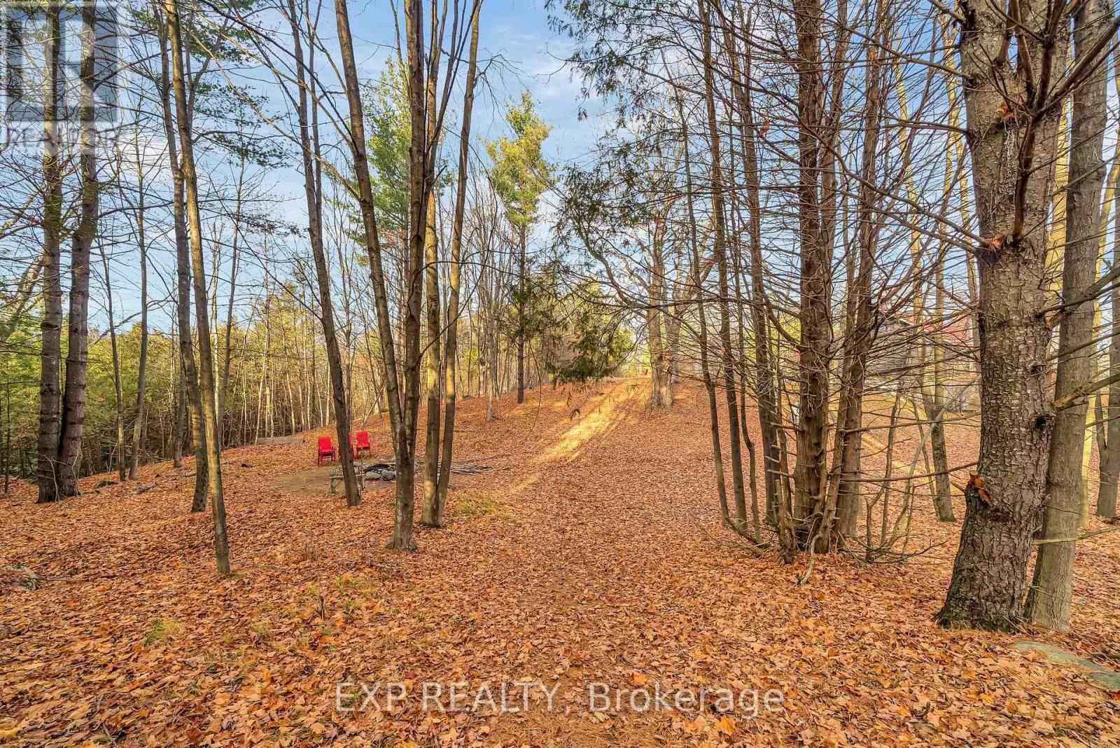 266 School House Road, Centre Hastings, Ontario  K0K 3E0 - Photo 46 - X12572116