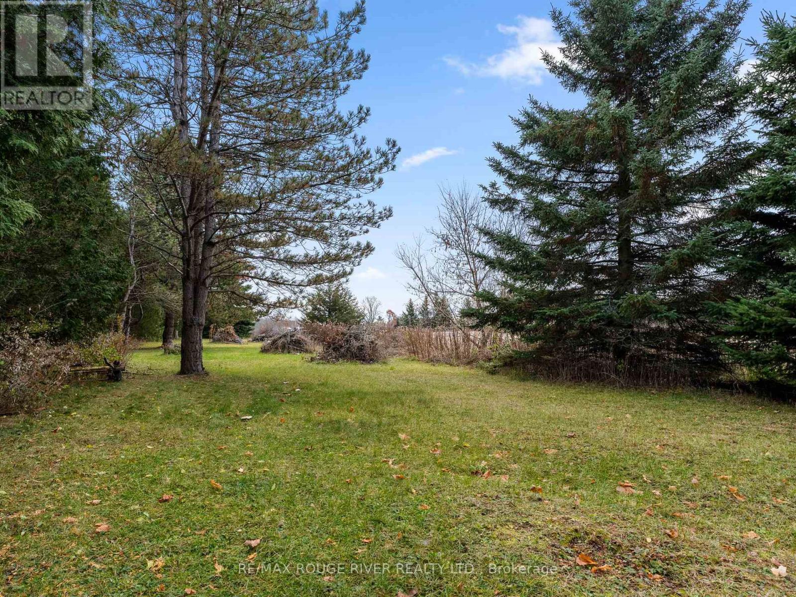 132 Earl Road, Alnwick/haldimand, Ontario  K0K 1C0 - Photo 39 - X12584952