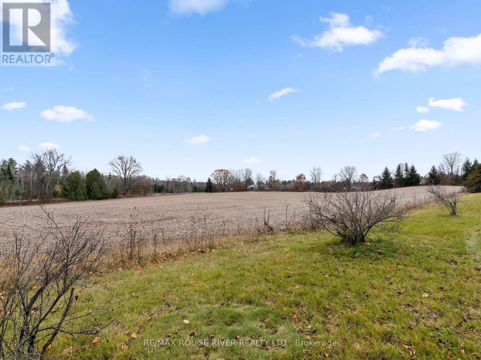 132 Earl Road, Alnwick/haldimand, Ontario  K0K 1C0 - Photo 40 - X12584952